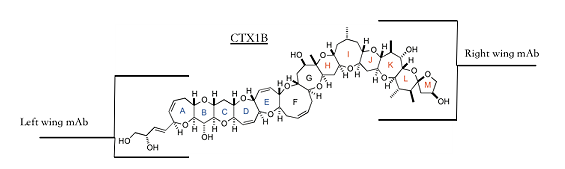 Ciguatoxin “CTX1B” Sandwich ELISA Kit