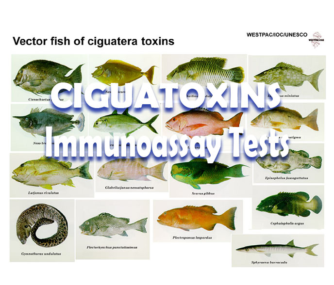 魚毒免疫檢測