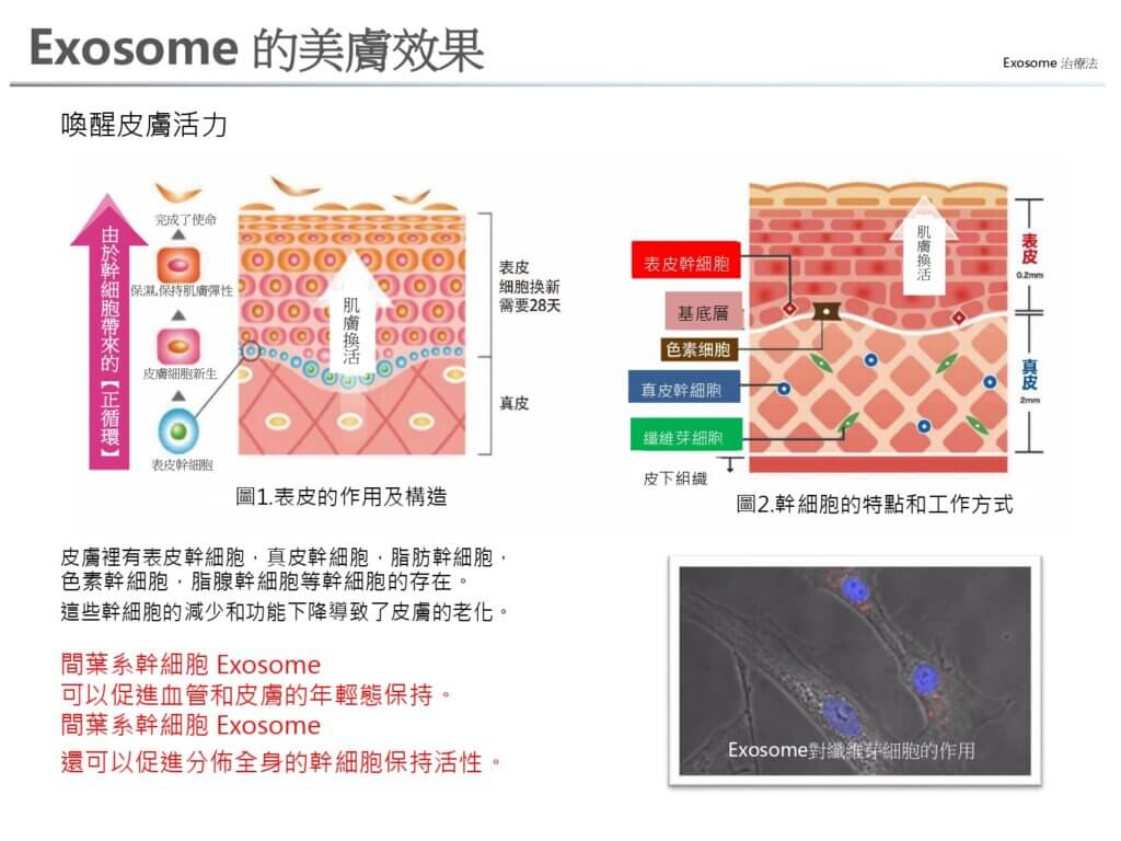 #Exosome 的美膚效果