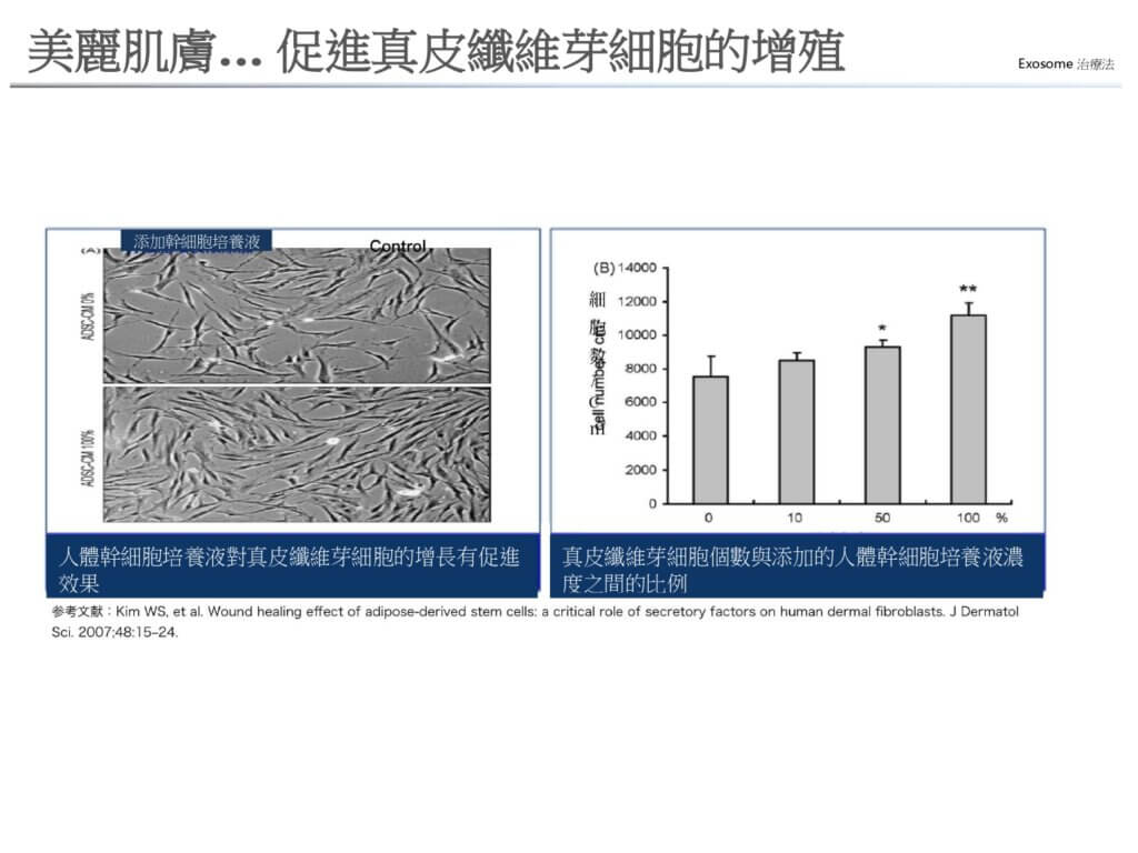 美麗肌膚… 促進真皮纖維芽細胞的增殖