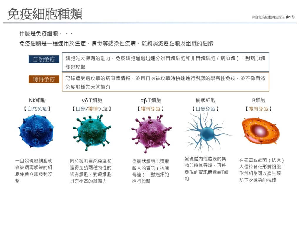 免疫細胞種類